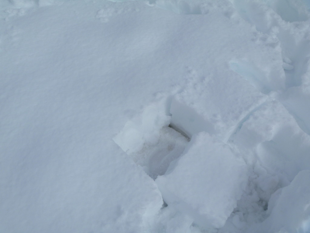 Snowpack stability test following 30cm of snow overnight