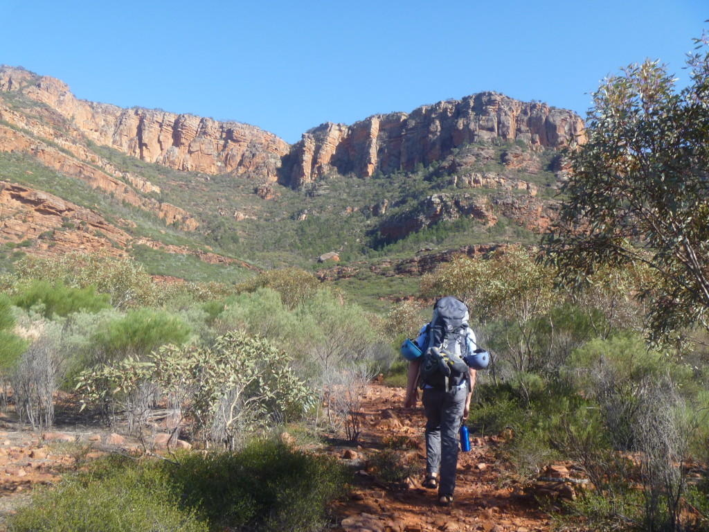 Beginning the daily walk in to the crag.