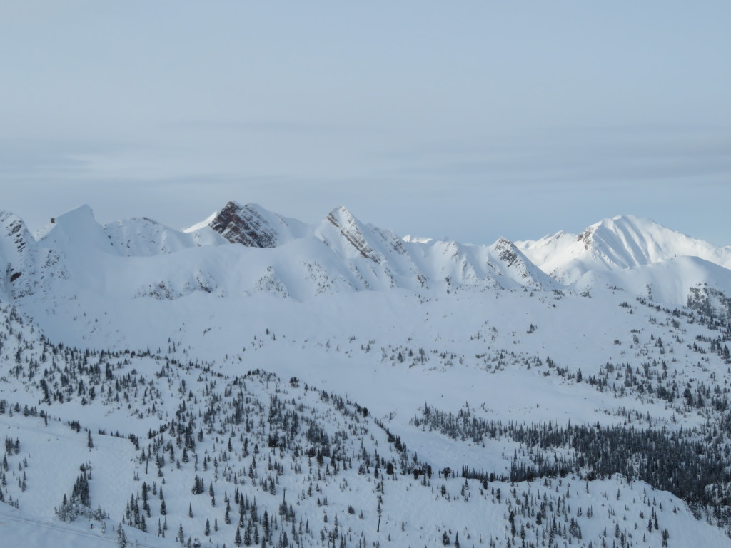View of the Dogtooth range from T1 ridge.