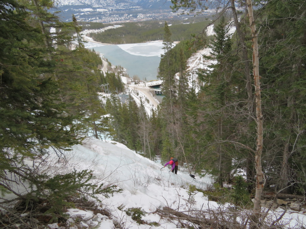 Soloing up WI2 ice on the approach.